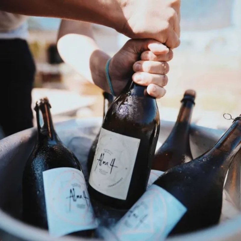 Alma 4 Pinot Noir Chardonnay 750ml - Imagen 3