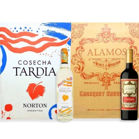 1 CAJA ANGÉLICA ZAPATA MALBEC ALTA 750ML + 1 CAJA RUTINI CABERNET FRANC 750ML