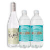 MIX 1U GIN TERRIER CITRIC 750ML + 2U SANTA QUINA ACQUA TÓNICA 1000ML