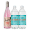 MIX 1U GIN TERRIER PINK 750ML + 2U SANTA QUINA TÓNICA 1000ML