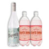 MIX 1U GIN TERRIER SPICY LONDON DRY 750ML + 2U SANTA QUINA TÓNICA POMELO ROSADO 1000ML