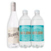 MIX 1U GIN TERRIER WILD 750ML + 2U SANTA QUINA TÓNICA 1000ML