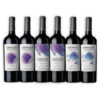 MIX CAMINANTE DE LOS MUNDOS ORGÁNICO 2U MALBEC + 2U CABERNET FRANC + 2U BLEND CAJA X6U 750ML