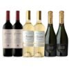 Mix 2u Escorihuela Gascón Malbec 750ml + 2u Nicasia Viognier 750ml + 2u Cosecha Especial Extra Brut 750ml