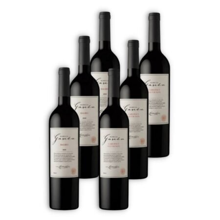 MIX FAMILIA GASCÓN 3U MALBEC + 3U CABERNET SAUVIGNON CAJA X6U 750ML